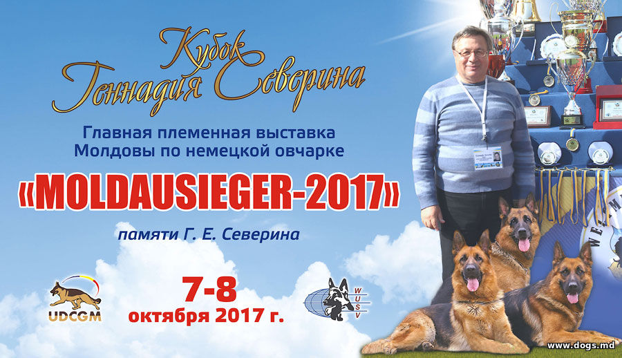 Кубок Геннадия Северина 2017 